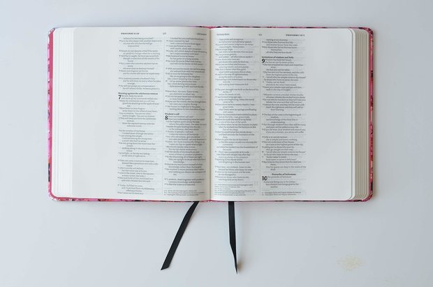 NIV Ruby Journalling Bible: Pink Metallic Hardback (Bible Niv) Hardcover