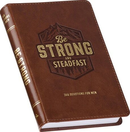 Be strong and steadfast 366 Devotions for men