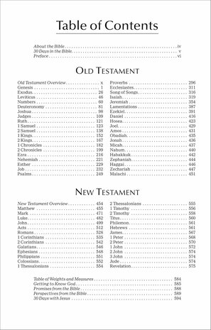 NIV Economy Bible 