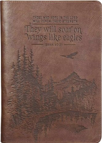 Journal They will soar on wings bruin leer