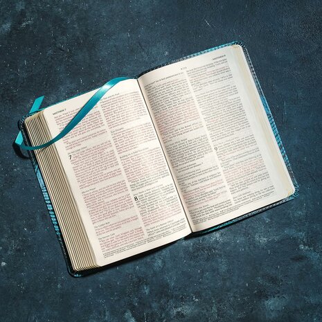 NLT Compact Bible blauwgroen palmbladeren