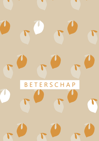 Minikaart Beterschap