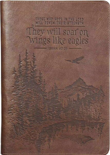 Journal They will soar on wings bruin leer