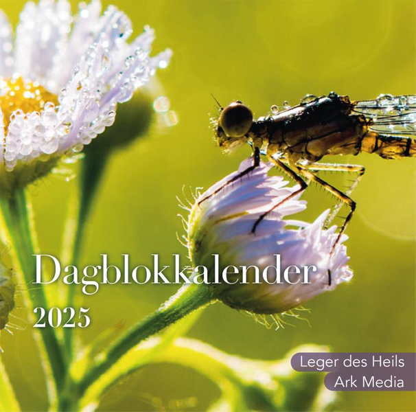 Kalender 2025 Dag in dag uit NBV Dagblokkalender