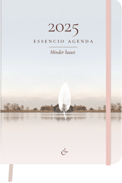 Agenda 2025 Essencio klein