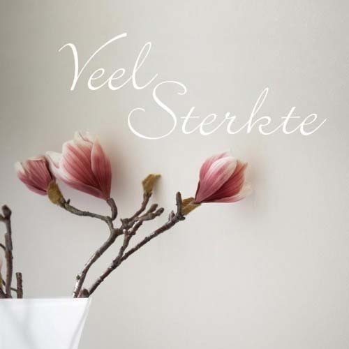 Veel sterkte