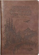 Journal They will soar on wings bruin leer